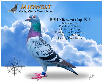 1st Midwest Fed Coolabah 286Kms Aug 2020