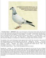 The Silver Shadow Story Jan 2021 - by Paul Gibbs